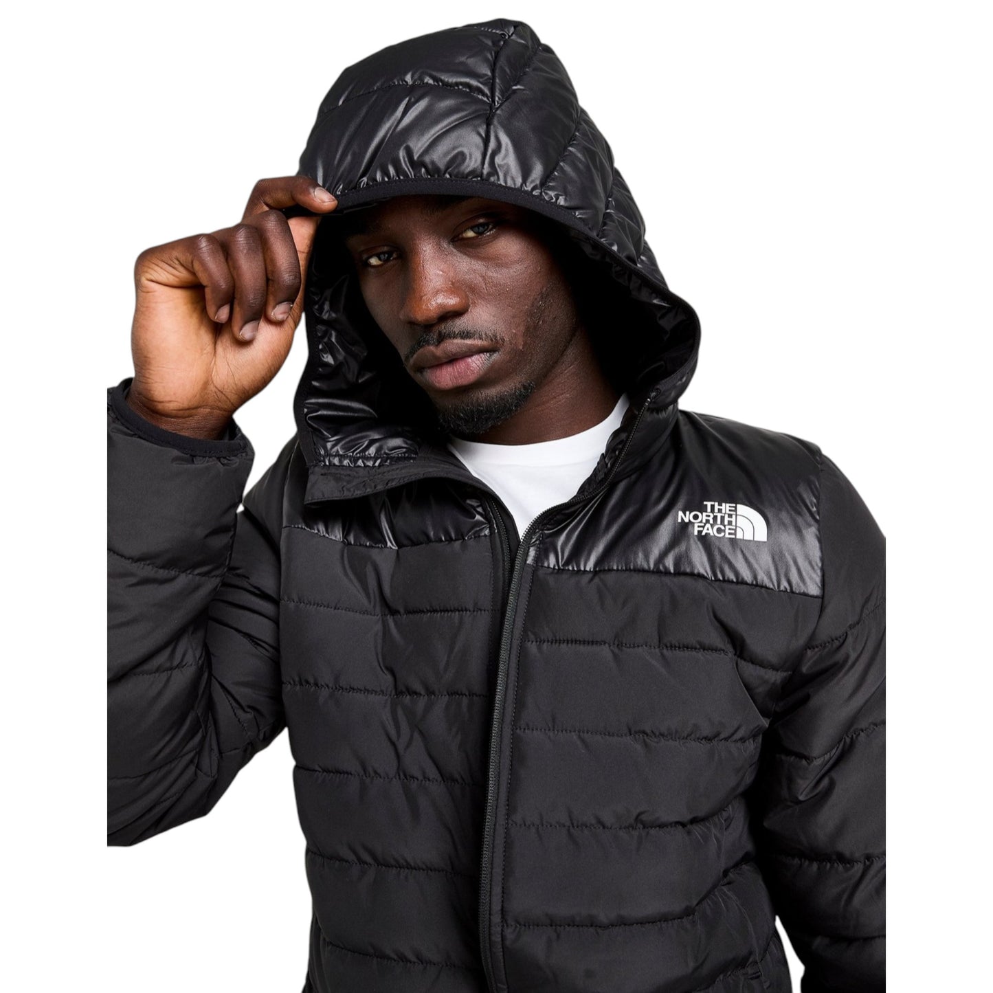 Person wearing a black puffer jacket with The North Face logo on a white background